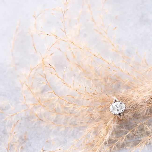 Engagement ring nestled in soft pampas grass